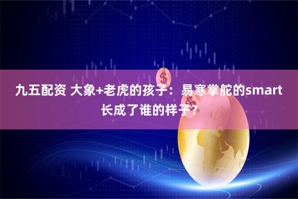 九五配资 大象+老虎的孩子:易寒掌舵的smart长成了谁的样子?