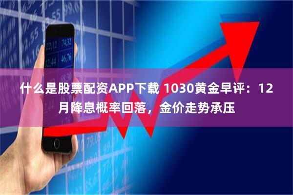 什么是股票配资APP下载 1030黄金早评:12月降息概率回落,金价走势承压