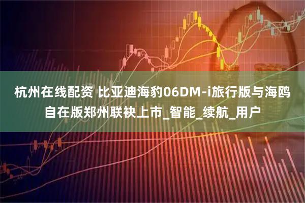 杭州在线配资 比亚迪海豹06DM-i旅行版与海鸥自在版郑州联袂上市_智能_续航_用户