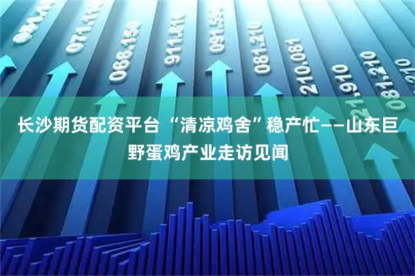长沙期货配资平台 “清凉鸡舍”稳产忙——山东巨野蛋鸡产业走访见闻